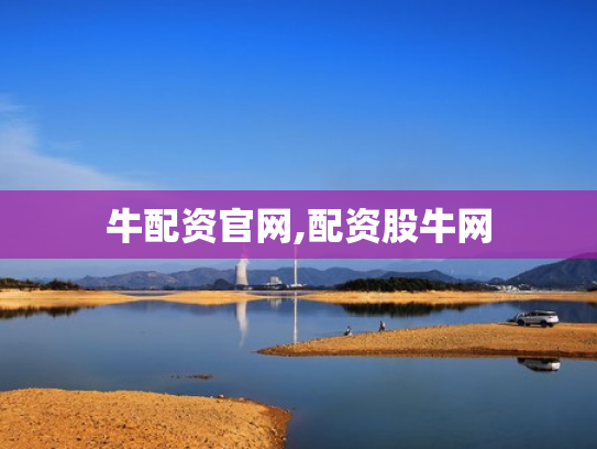 牛配资官网,配资股牛网
