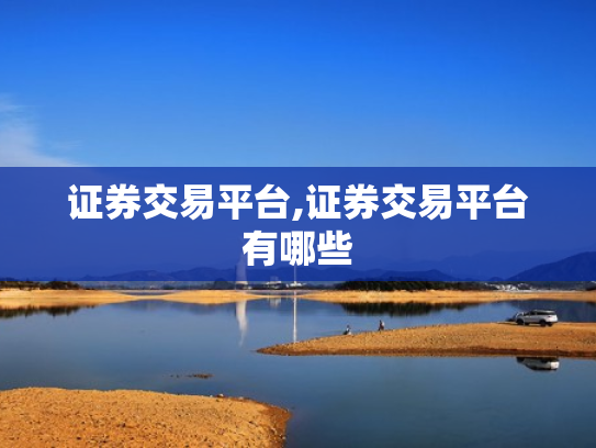 证券交易平台,证券交易平台有哪些