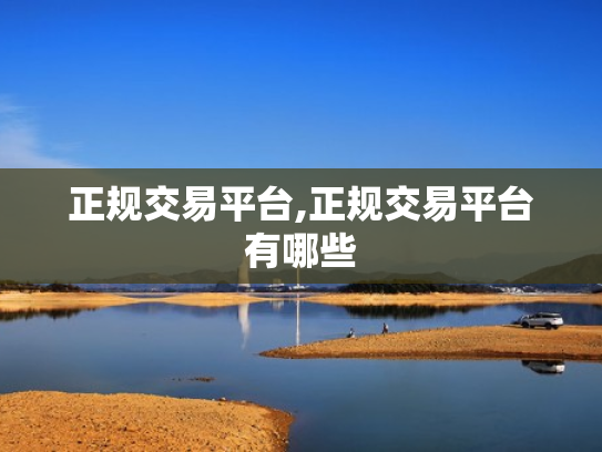 正规交易平台,正规交易平台有哪些