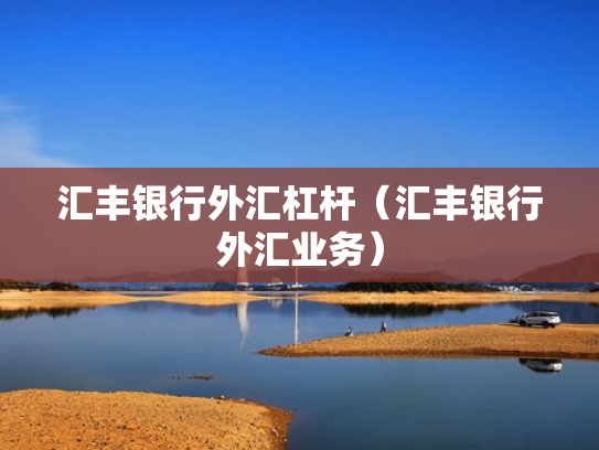 汇丰银行外汇杠杆（汇丰银行外汇业务）
