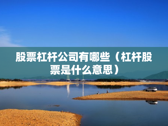 股票杠杆公司有哪些（杠杆股票是什么意思）