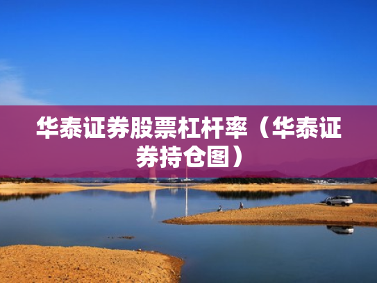 华泰证券股票杠杆率（华泰证券持仓图）