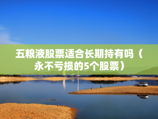 五粮液股票适合长期持有吗（永不亏损的5个股票）