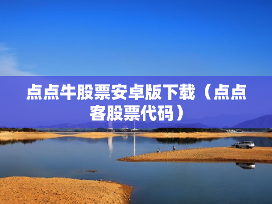 点点牛股票安卓版下载（点点客股票代码）
