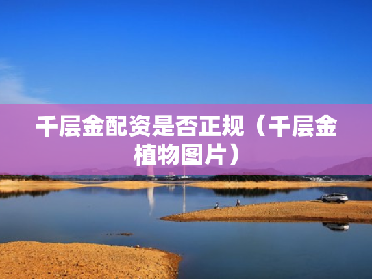 千层金配资是否正规（千层金植物图片）