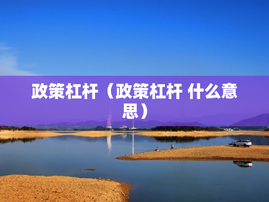 政策杠杆（政策杠杆 什么意思）