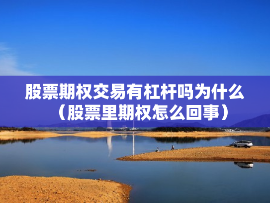 股票期权交易有杠杆吗为什么（股票里期权怎么回事）