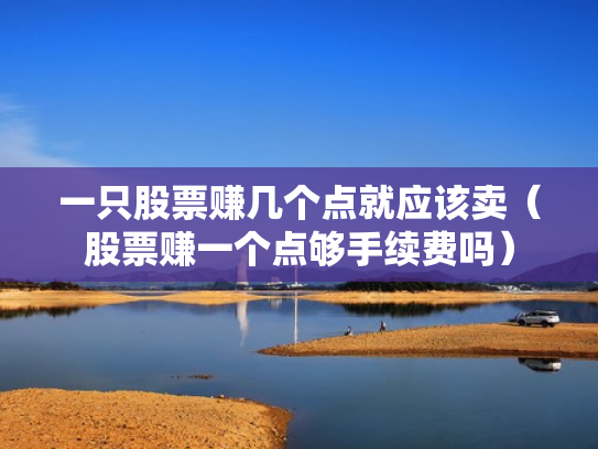 一只股票赚几个点就应该卖（股票赚一个点够手续费吗）