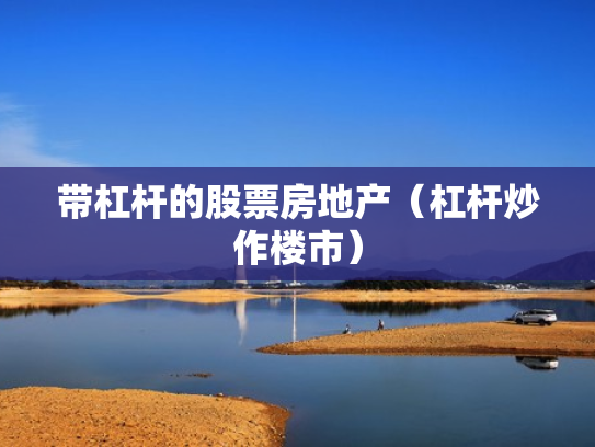 带杠杆的股票房地产（杠杆炒作楼市）