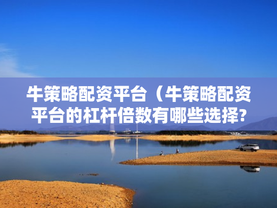 牛策略配资平台（牛策略配资平台的杠杆倍数有哪些选择?）