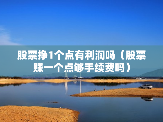 股票挣1个点有利润吗（股票赚一个点够手续费吗）