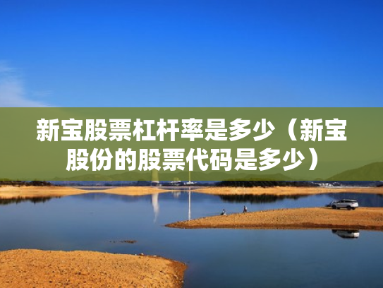 新宝股票杠杆率是多少（新宝股份的股票代码是多少）