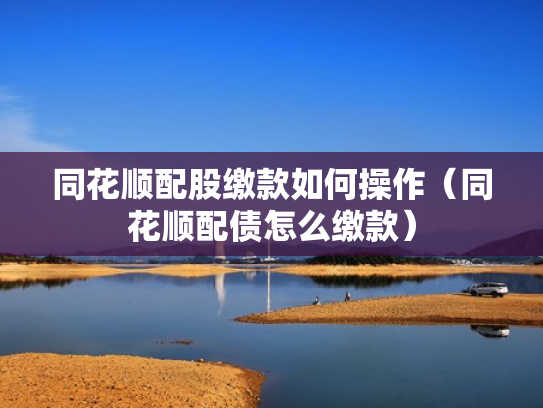 同花顺配股缴款如何操作（同花顺配债怎么缴款）