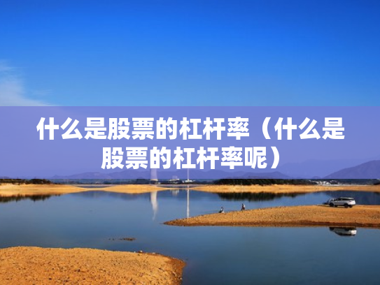 什么是股票的杠杆率（什么是股票的杠杆率呢）